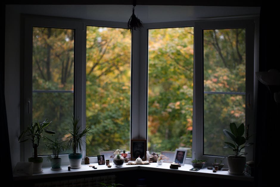 pexels-photo-5891542-5891542 Interior details of spacious house decorated with assorted potted plants and framed photos placed near window overlooking lush autumn forest